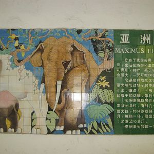 elephant mural signage