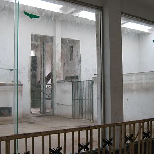 inside the giraffe house