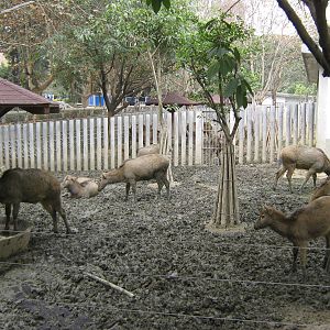 deer pens