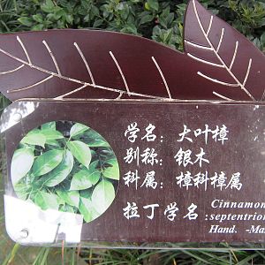 plant label