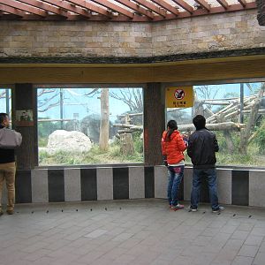 viewing area for the chimpanzee enclosure