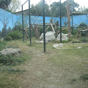 chimpanzee enclosure