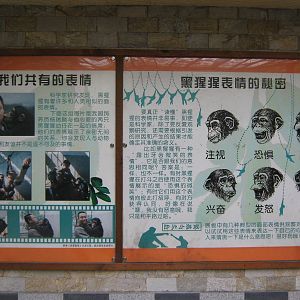 chimpanzee signage