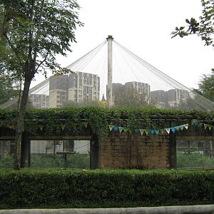 golden snub-nosed monkey cage