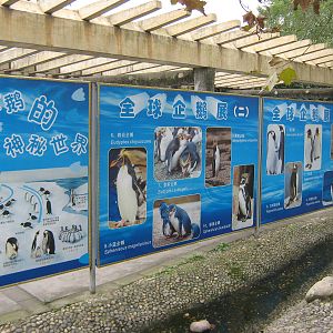 penguin signage