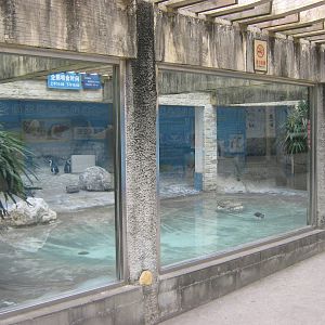 penguin enclosure