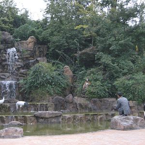 statues by a waterfall