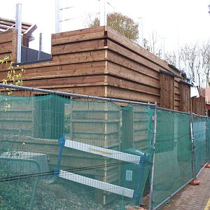 sneak  at new sun bear exhibit covered viewing?