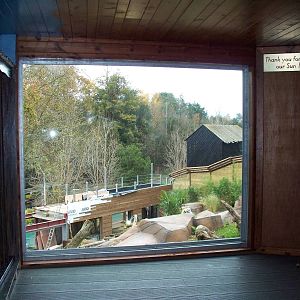 Approach to new sun bear enclosure from above