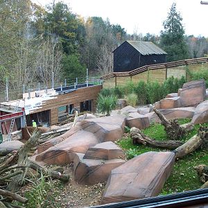 new sun bear enclosure