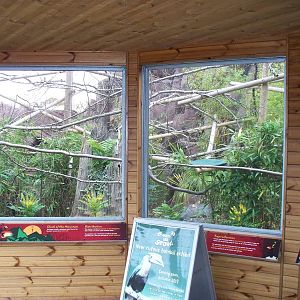another view of new aviary