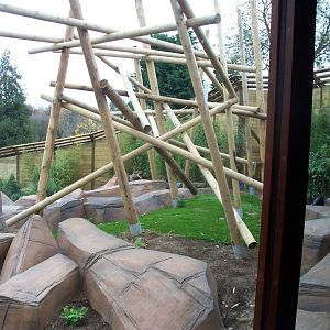looking from the top of the sun bear enclosure