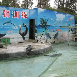 pool for spotted seals