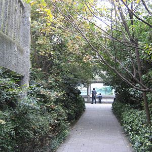 inside the walk-through aviary