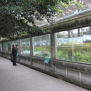 inside the walk-through aviary