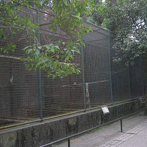 cockatoo aviaries
