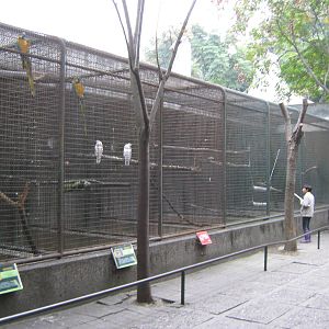 parrot aviaries