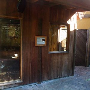 Python Exhibit at St. Augustine, 11/10/13