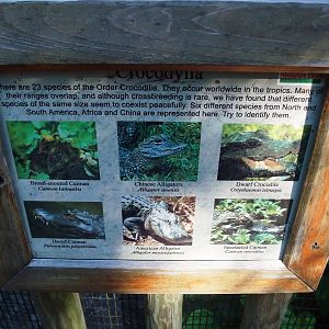 Signage Example at St. Augustine, 11/10/13