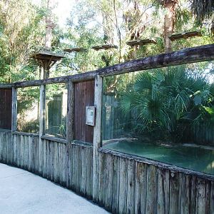 Siamese Crocodile Exhibit at St. Augustine, 11/10/13