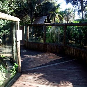 Land of Crocodiles at St. Augustine, 11/10/13