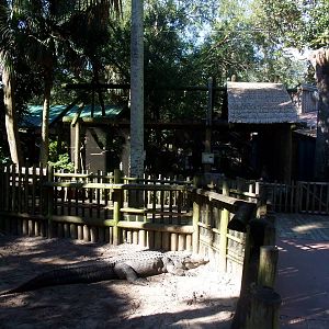 Alligator and Small Mammal Enclosure at St. Augustine, 11/10/13