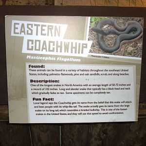 Signage Example at St. Augustine, 11/10/13