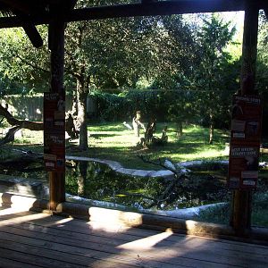 Birds of Africa Exhibit at St. Augustine, 11/10/13
