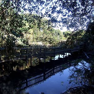 Boardwalk Area at St. Augustine, 11/10/13