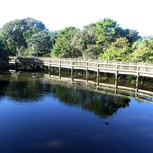 Boardwalk Area at St. Augustine, 11/10/13