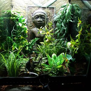 Interestingly-furnished Viper Enclosure at St. Augustine, 11/10/13