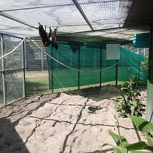 Bat Enclosure at Lubee Bat Conservancy, 11/10/13