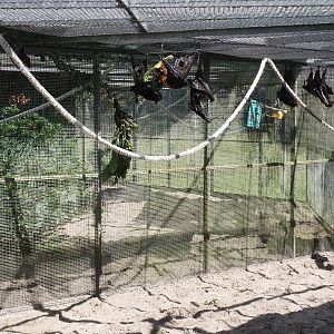 Bat Enclosure at Lubee Bat Conservancy, 11/10/13