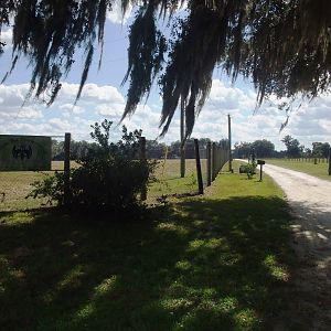 Entrance Road at Lubee Bat Conservancy, 11/10/13