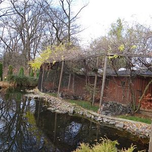 Outside cages of small monkeys