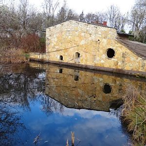 Pavilion of Symphalangus syndactylus