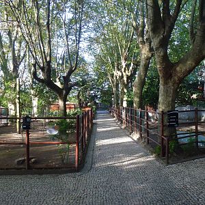 Crane paddocks, November 2013.