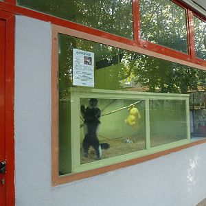 Nursery window, November 2013.