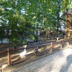 Waterfowl enclosure, November 2013.