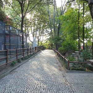 Zoo path, November 2013.