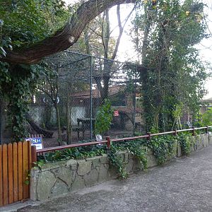 Lynx & leopard cat enclosures, November 2013.