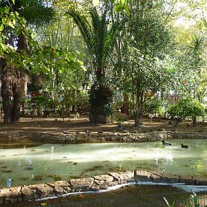Waterfowl pond, November 2013.