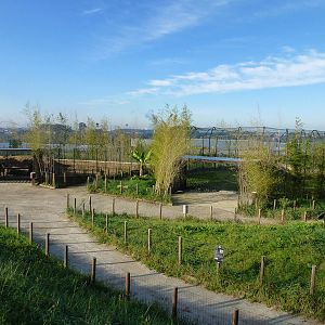 New extension, November 2013.