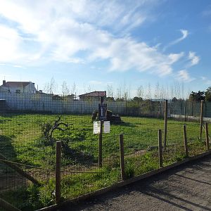 Tiger enclosure (!), November 2013.