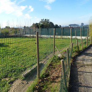 Tiger fencing, November 2013.