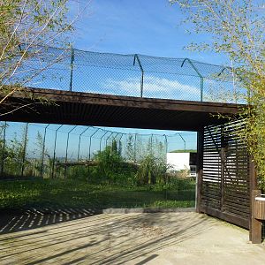 Leopard enclosure, November 2013.