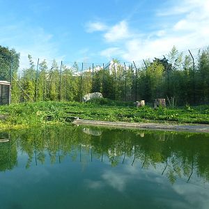 Tiger enclosure, November 2013.