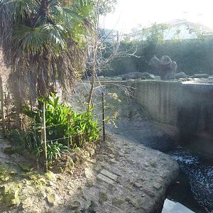 Brown bear enclosure, November 2013.