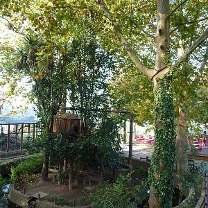 Gibbon island, November 2013.