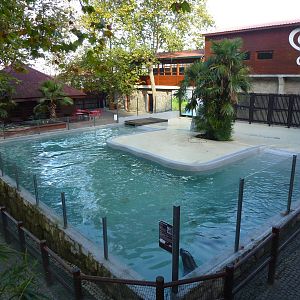 Sealion enclosure, November 2013.